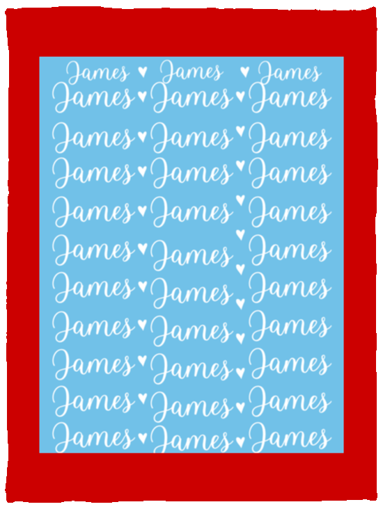 Plush Fleece Blanket - 30x40: James