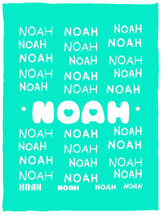 Plush Fleece Blanket - 30x40: NOAH