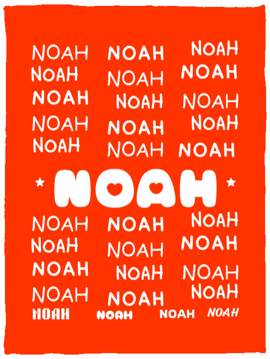 Plush Fleece Blanket - 30x40: NOAH