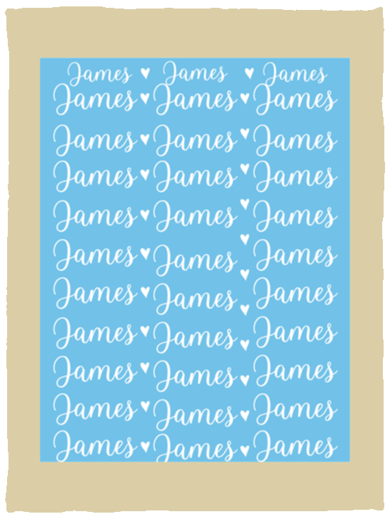 Plush Fleece Blanket - 30x40: James