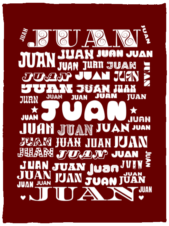 Plush Fleece Blanket - 30x40: JUAN