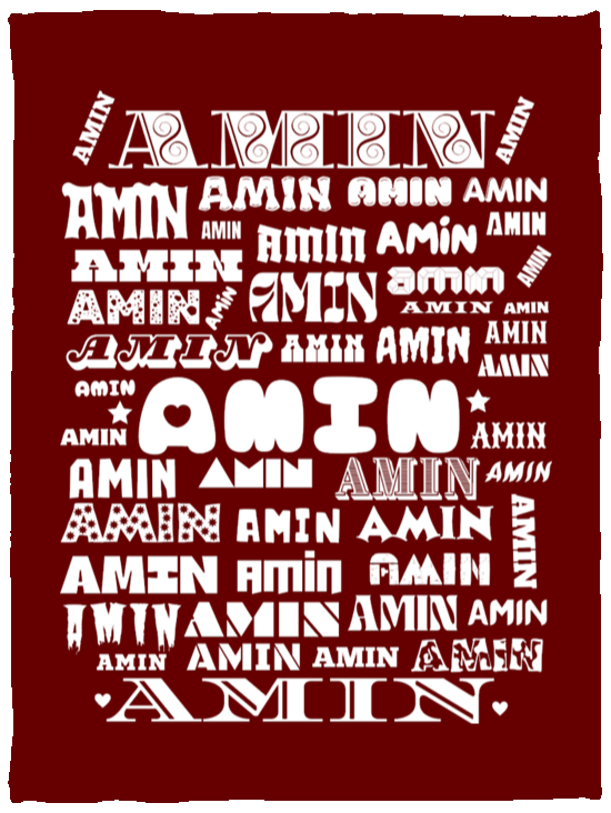 Plush Fleece Blanket - 30x40: AMIN