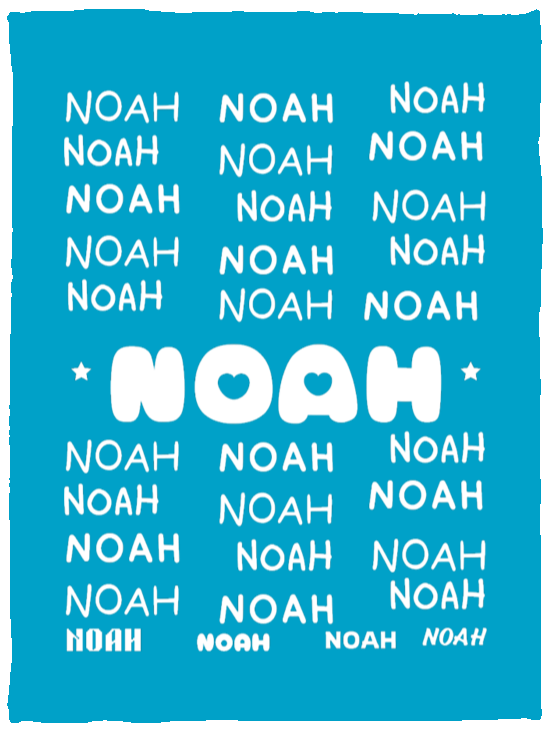 Plush Fleece Blanket - 30x40: NOAH