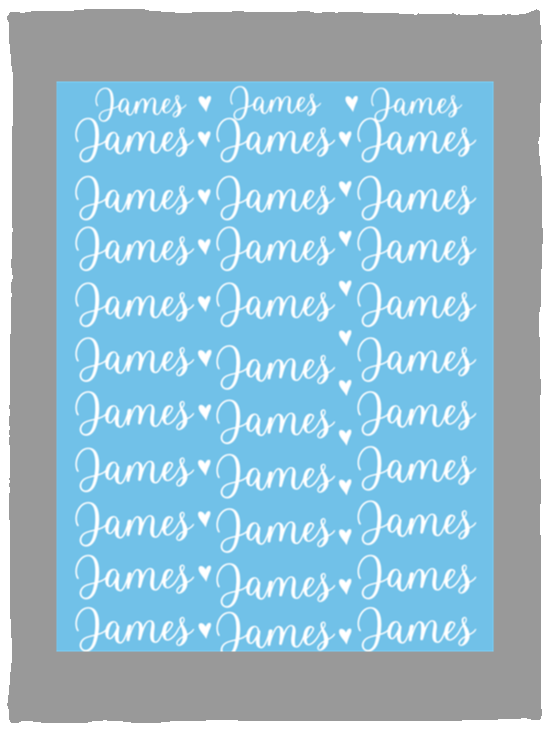 Plush Fleece Blanket - 30x40: James