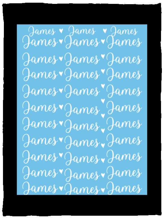 Plush Fleece Blanket - 30x40: James