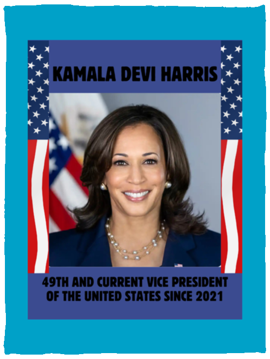 Plush Fleece Blanket - 30x40: VICE PRESIDENT KAMALA HARRIS BLANKET