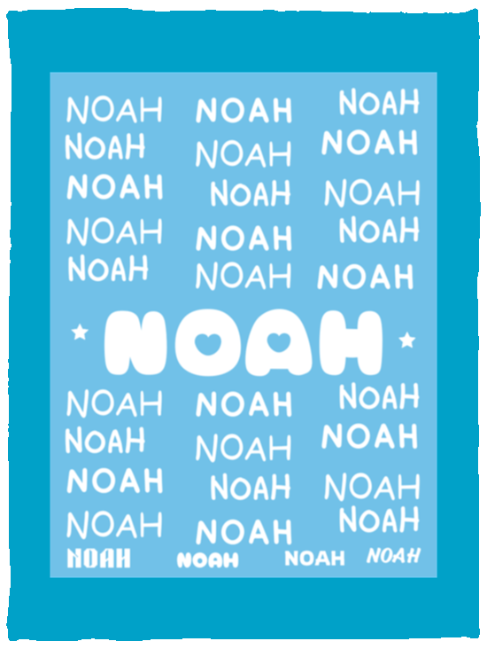 Plush Fleece Blanket - 30x40: NOAH