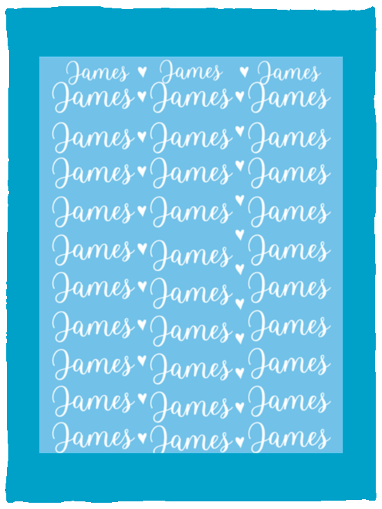 Plush Fleece Blanket - 30x40: James