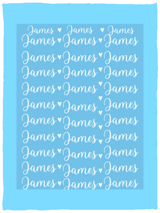 Plush Fleece Blanket - 30x40: James