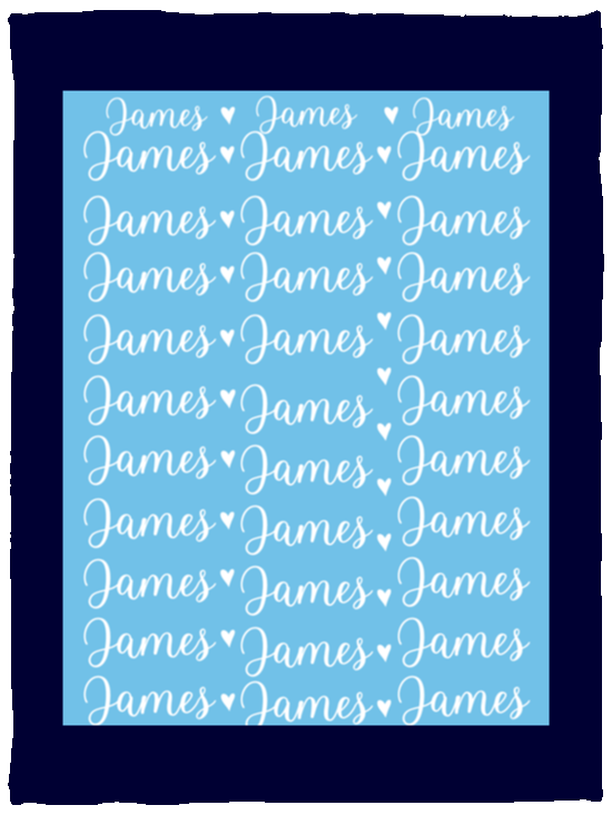 Plush Fleece Blanket - 30x40: James