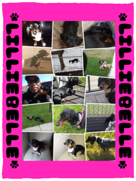 Plush Fleece Blanket - 30x40 Paw Friend Love Lillibelle