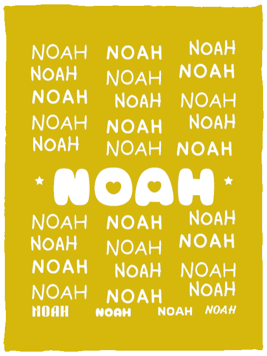 Plush Fleece Blanket - 30x40: NOAH
