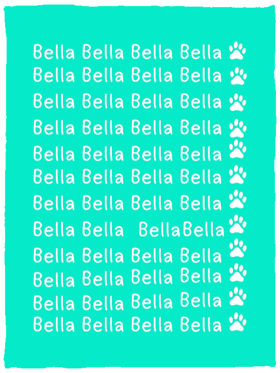 Plush Fleece Blanket - 30x40: NAME BLANKET FOR YOUR FRIENDLY PET "BELLA"