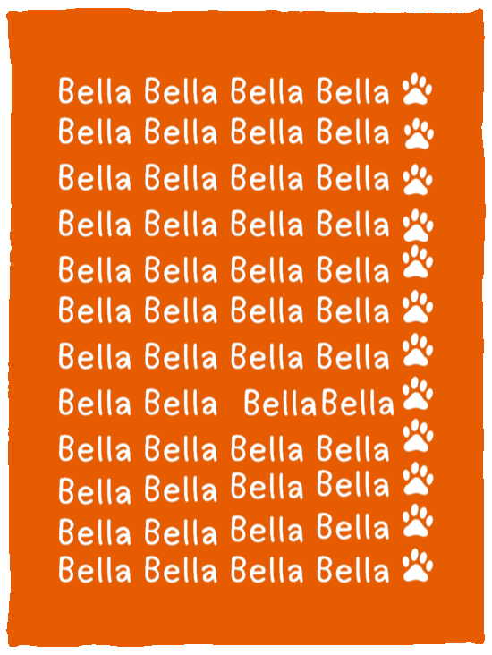 Plush Fleece Blanket - 30x40: NAME BLANKET "BELLA"  (LET ME PERSONALIZE YOURS FOR A FRIENDLY PET GIFT)