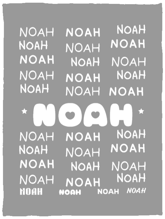 Plush Fleece Blanket - 30x40: NOAH