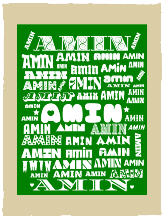 Plush Fleece Blanket - 30x40: AMIN