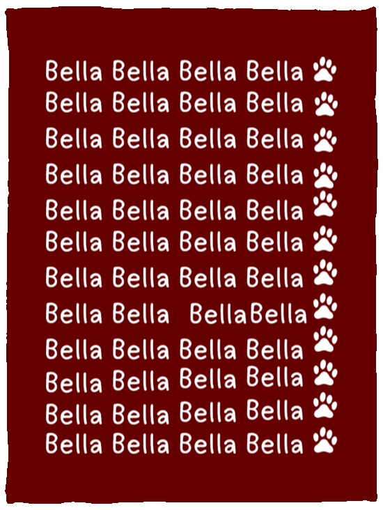 Plush Fleece Blanket - 30x40: NAME BLANKET "BELLA"  (LET ME PERSONALIZE YOURS FOR A FRIENDLY PET GIFT)