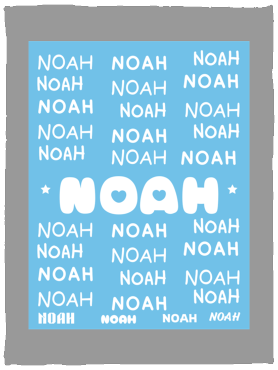 Plush Fleece Blanket - 30x40: NOAH