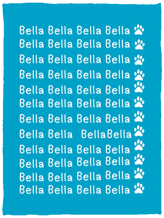 Plush Fleece Blanket - 30x40: NAME BLANKET FOR YOUR FRIENDLY PET "BELLA"