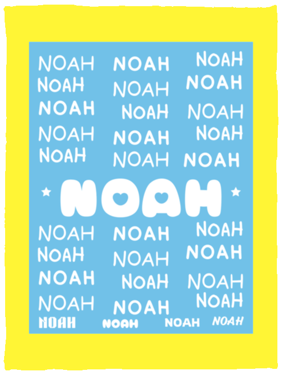 Plush Fleece Blanket - 30x40: NOAH