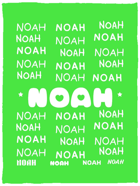 Plush Fleece Blanket - 30x40: NOAH