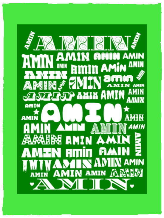 Plush Fleece Blanket - 30x40: AMIN