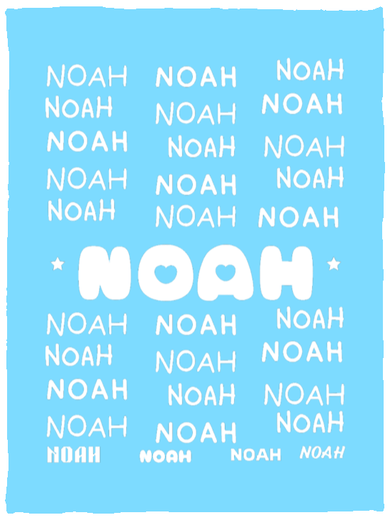 Plush Fleece Blanket - 30x40: NOAH