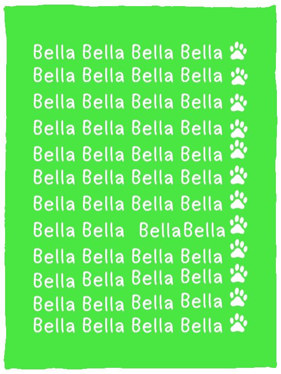 Plush Fleece Blanket - 30x40: NAME BLANKET "BELLA"  (LET ME PERSONALIZE YOURS FOR A FRIENDLY PET GIFT)