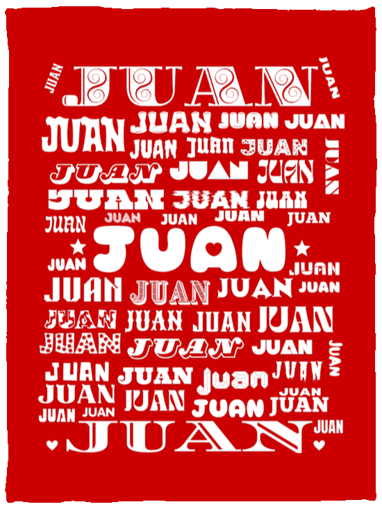 Plush Fleece Blanket - 30x40: JUAN