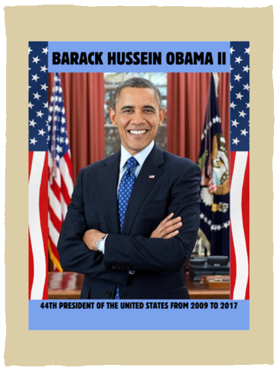 Plush Fleece Blanket - 30x40: PRESIDENT OBAMA BLANKET