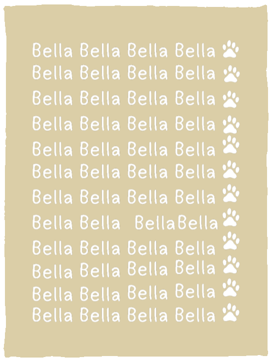 Plush Fleece Blanket - 30x40: NAME BLANKET FOR YOUR FRIENDLY PET "BELLA"