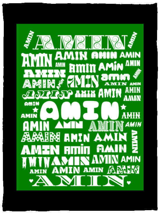 Plush Fleece Blanket - 30x40: AMIN