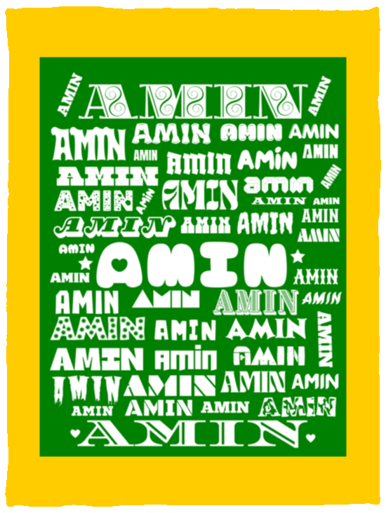 Plush Fleece Blanket - 30x40: AMIN