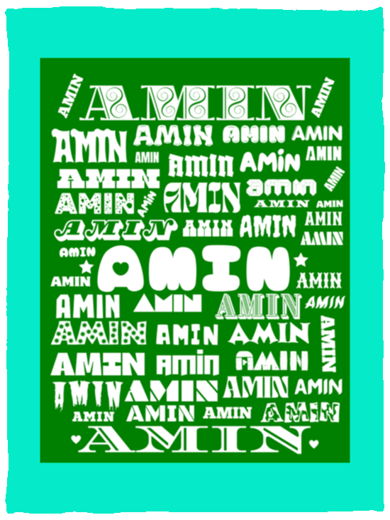 Plush Fleece Blanket - 30x40: AMIN