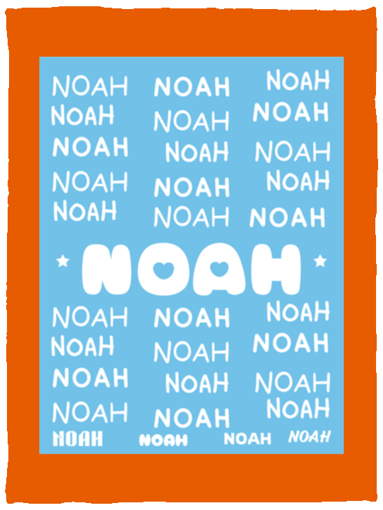 Plush Fleece Blanket - 30x40: NOAH