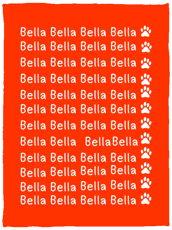 Plush Fleece Blanket - 30x40: NAME BLANKET FOR YOUR FRIENDLY PET "BELLA"