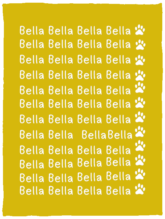 Plush Fleece Blanket - 30x40: NAME BLANKET FOR YOUR FRIENDLY PET "BELLA"