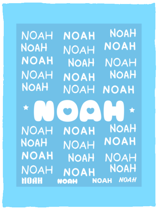 Plush Fleece Blanket - 30x40: NOAH