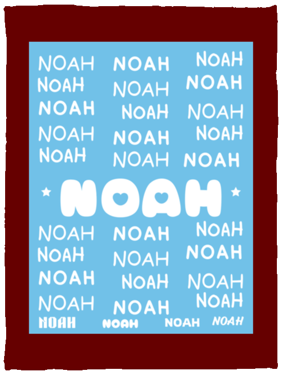 Plush Fleece Blanket - 30x40: NOAH