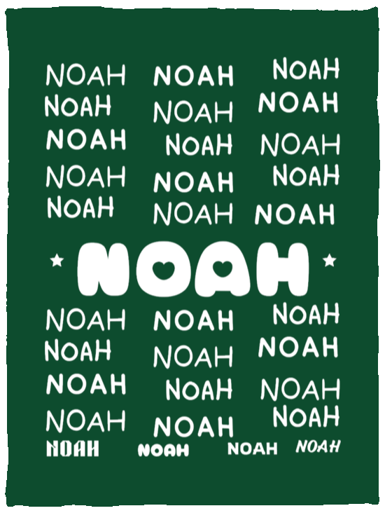 Plush Fleece Blanket - 30x40: NOAH