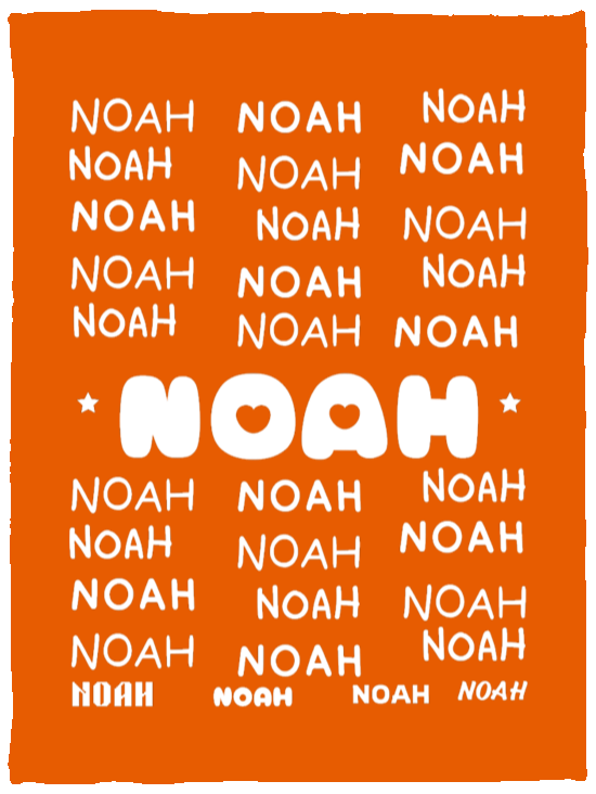 Plush Fleece Blanket - 30x40: NOAH