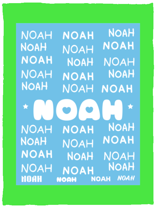 Plush Fleece Blanket - 30x40: NOAH