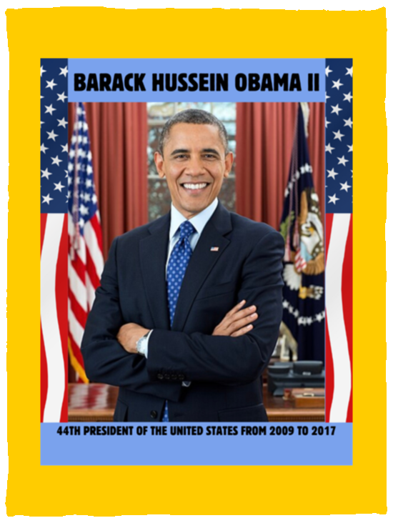 Plush Fleece Blanket - 30x40: PRESIDENT OBAMA BLANKET