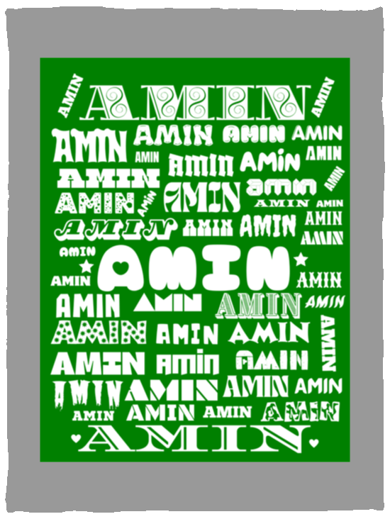 Plush Fleece Blanket - 30x40: AMIN