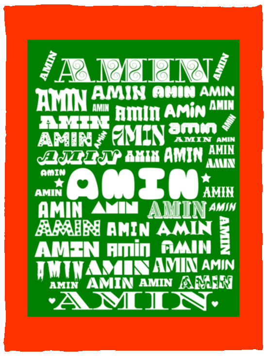 Plush Fleece Blanket - 30x40: AMIN